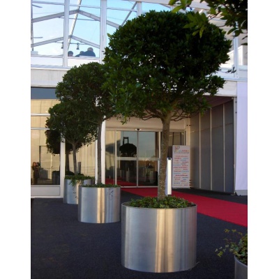 mietpflanzen6_271796180