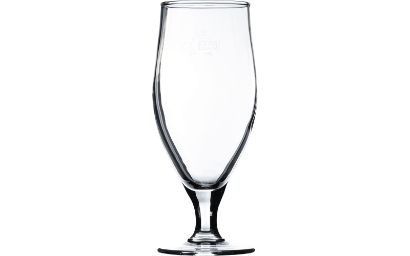 5418_arc-04023-cervoise-biertulpe-38cl-03l_low_19301_608x1469